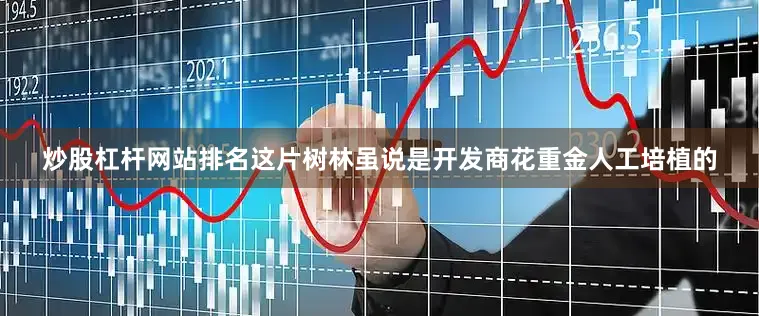 炒股杠杆网站排名这片树林虽说是开发商花重金人工培植的