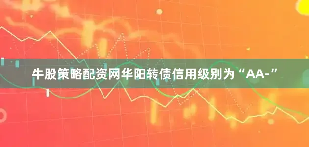 牛股策略配资网华阳转债信用级别为“AA-”
