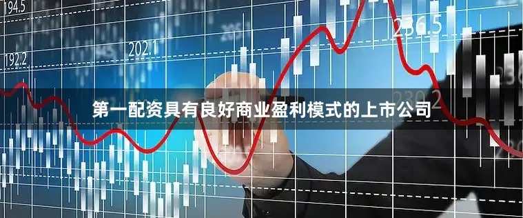第一配资具有良好商业盈利模式的上市公司