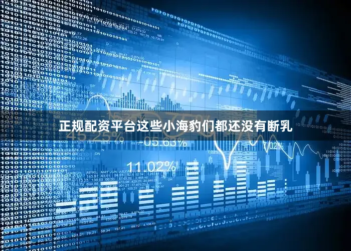 正规配资平台这些小海豹们都还没有断乳