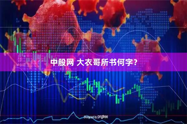 中股网 大衣哥所书何字？