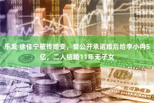 乐发 徐佳宁被传婚变，曾公开承诺婚后给李小冉5亿，二人结婚11年无子女